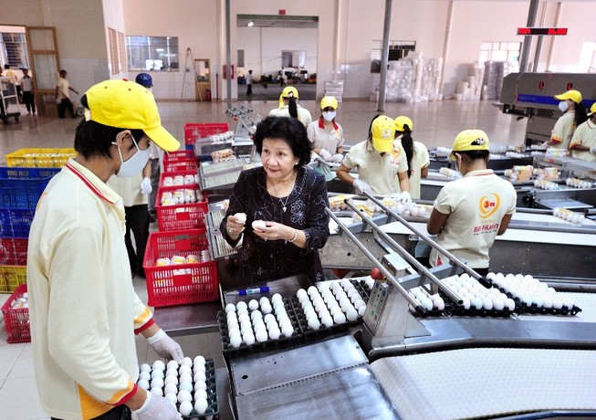 Hơn 32 triệu USD đầu tư vào quả trứng gà Việt Nam