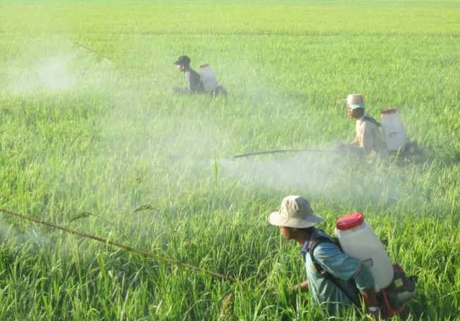 Sốc: VN nhập lượng 'khủng' thuốc trừ sâu từ Trung Quốc