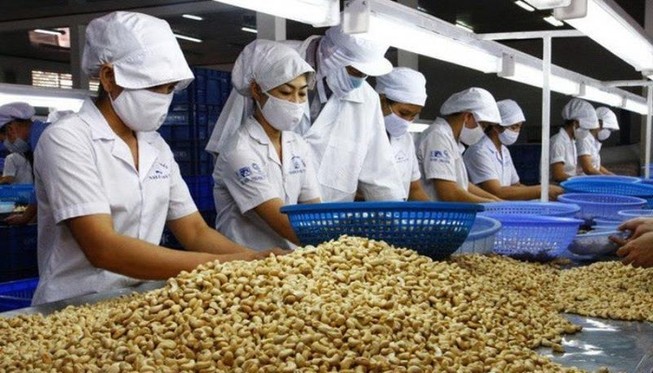 Trung Quốc tăng mua hạt điều vì nhiều dinh dưỡng