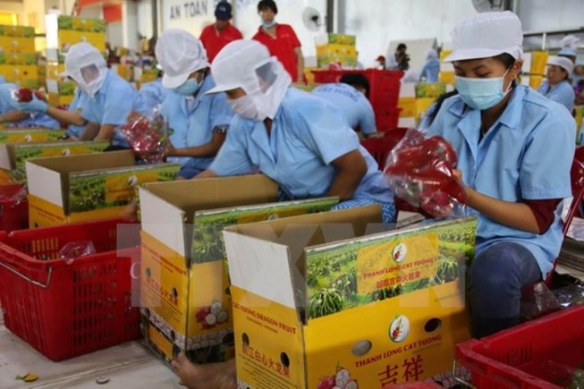 Chú ý khi bán trái cây sang Trung Quốc dịp tết