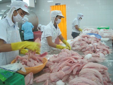 Mỹ tiếp tục áp thuế chống bán phá giá cá tra Việt Nam