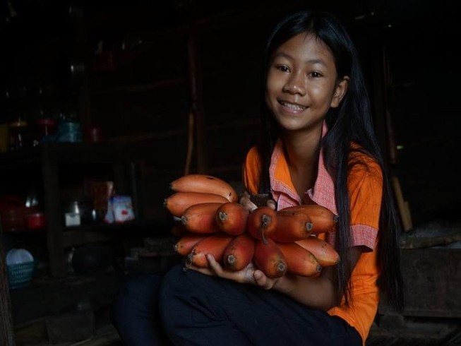Từ chuyện cơn sốt chuối đỏ siêu lạ 600.000 đồng/kg