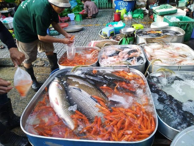 Ngày tiễn ông Táo về trời: Nhiều mặt hàng 'đắt như tôm tươi'
