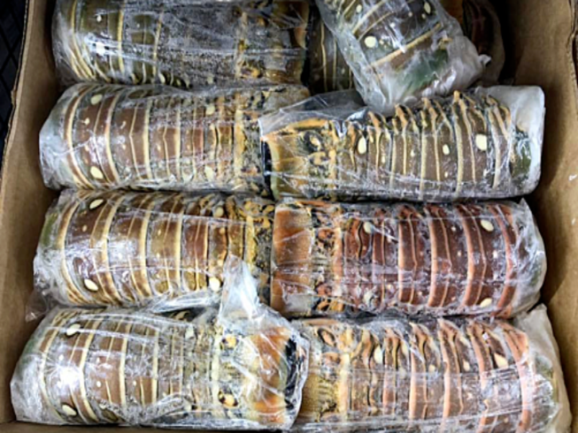 Đuôi tôm hùm đông lạnh, làm sao để an toàn khi ăn?