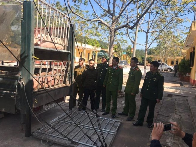 Hiểm họa thịt heo nhập lậu vào Việt Nam