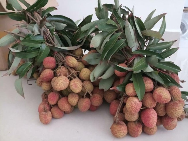 Những lưu ý quan trọng khi ăn quả vải