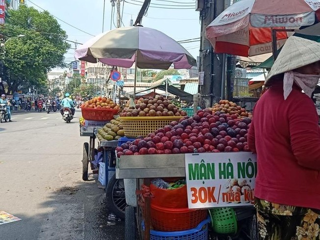 Mận, đào Trung Quốc núp bóng hàng Việt đổ về TP.HCM