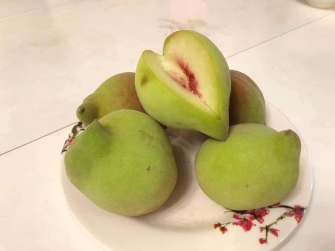 Cách phòng tránh mua nhầm đào mỏ quạ Trung Quốc
