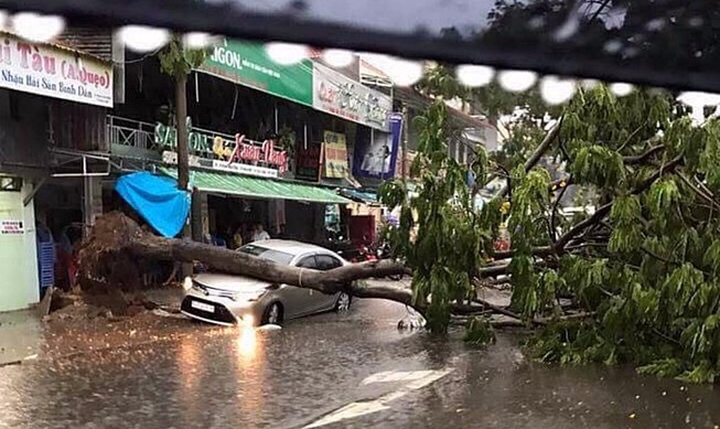 Mưa lớn, cây bật gốc đè ô tô 4 chỗ