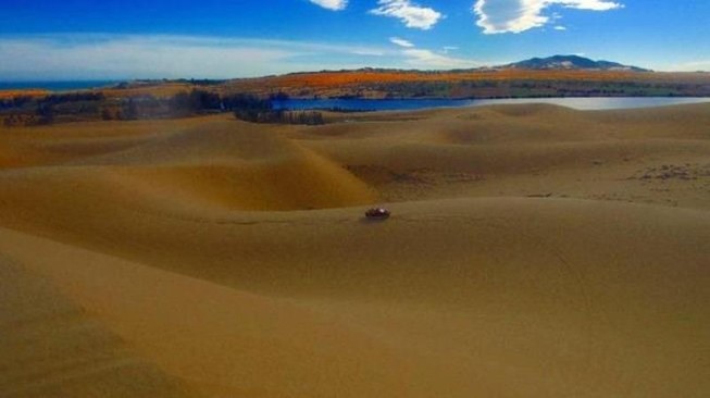Kỷ luật nhiều cán bộ để 'đại gia' thu gom đất nông nghiệp