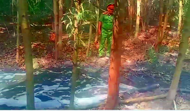 Đề nghị đóng cửa trại heo xả thải ra đầu nguồn nhà máy nước