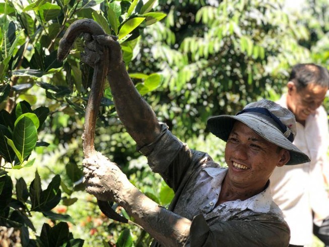 Nghỉ lễ 2-9, rủ nhau về miền Tây tát ao, lội sình bắt cá