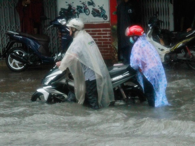 Ngưng tổ chức mọi hoạt động trong chiều tối 26-11