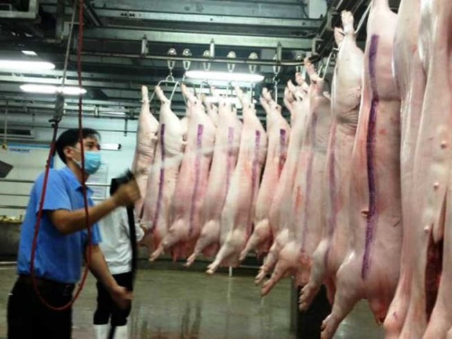3 năm, Trung Quốc 'ăn' 27 triệu con heo của Việt Nam