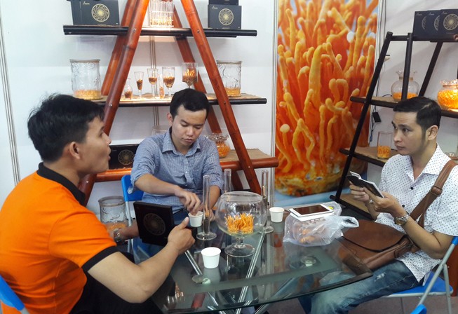 Cam Hà Giang, ếch Đồng Tháp tìm đường vào TP.HCM