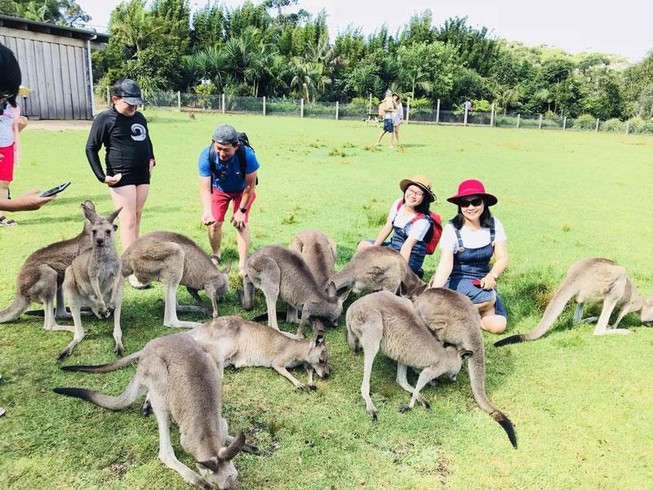 Nhiều tour hè dành ưu đãi đặc biệt cho trẻ em