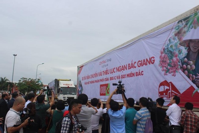 Đại gia Thái Lan tuyên bố mua 350 tấn vải thiều Lục Ngạn