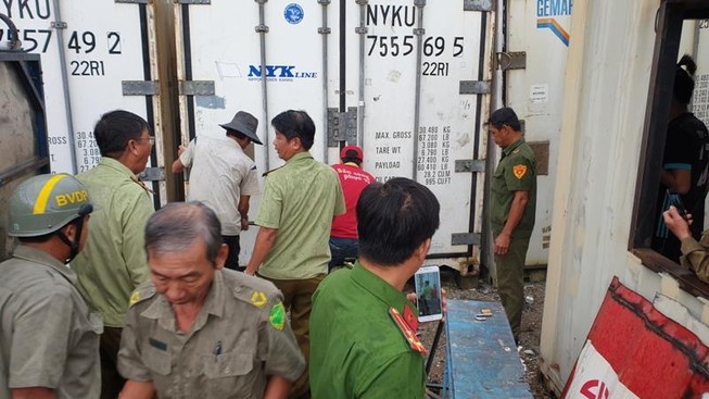 Phát hiện ba container chứa hơn 50 tấn thịt heo thối