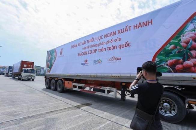 Trái vải đặc sản Việt Nam vào đại siêu thị Thái Lan