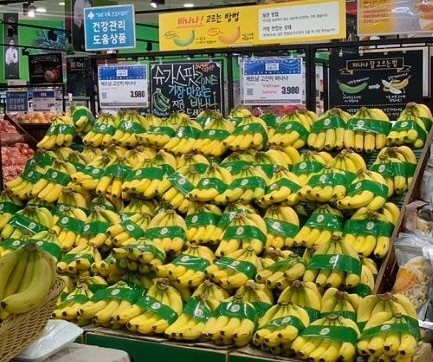 Chuối Việt lần đầu bán ở đại siêu thị Hàn Quốc, 80.000 đồng/kg