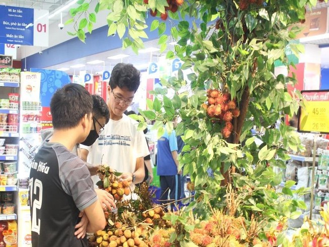 Mùa vải thiều trúng đậm, Bắc Giang thu kỷ lục hơn 6.800 tỉ