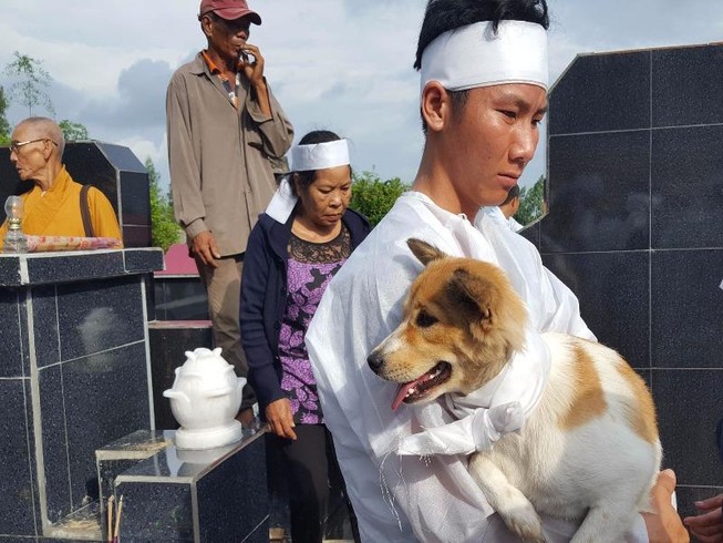Cái chết uất hận của chú chó đang để tang chủ