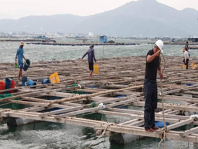 Dùng tàu chuyên dụng cưỡng chế người trên bè tránh bão số 6