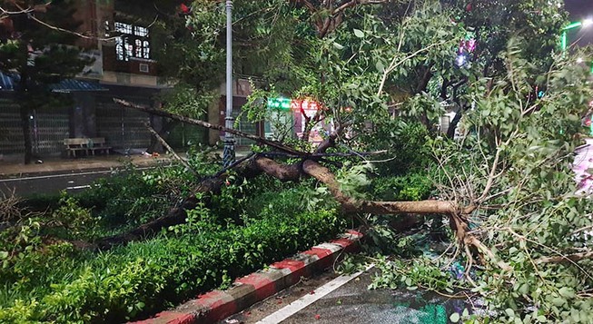 Bão số 6 suy yếu nhưng làm 77.000 hộ ở Phú Yên bị mất điện