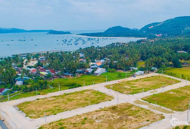 Khởi tố một cựu trưởng phòng TN&MT ký 'lụi' hồ sơ