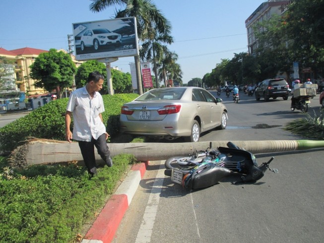 Xe ô tô tông xe máy, càn gãy cả cây cau vua lớn bên đường
