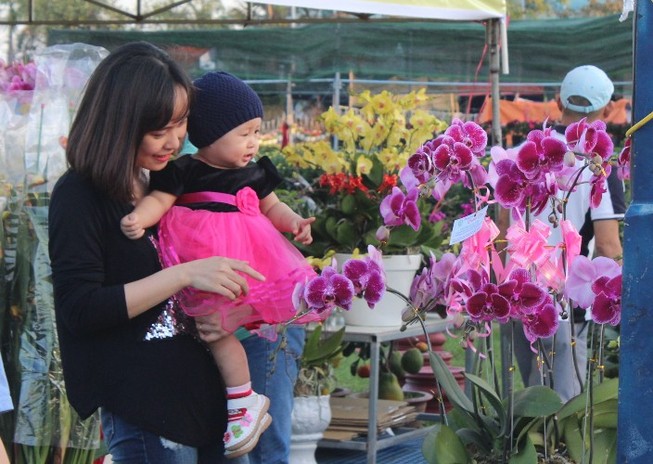 Muôn hoa khoe sắc ở chợ hoa TP Đà Nẵng