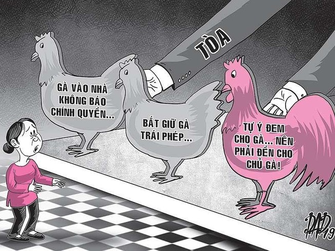 Thẩm phán và Kiểm sát viên 'luận' về vụ 3 con gà đi lạc