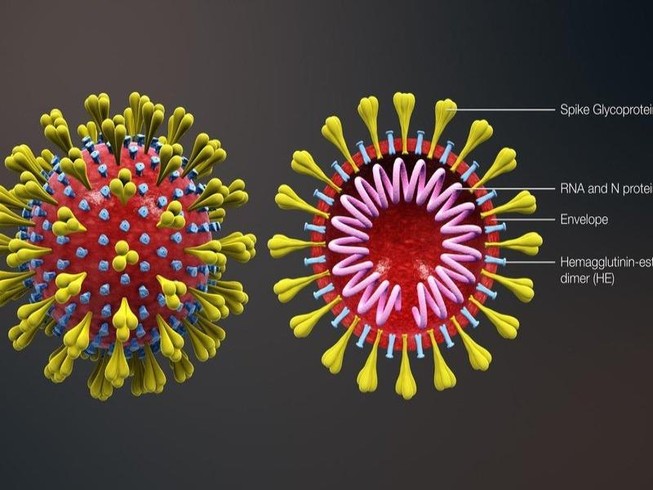 Trà Vinh: Bé trai Trung Quốc ho, sốt âm tính với virus Corona
