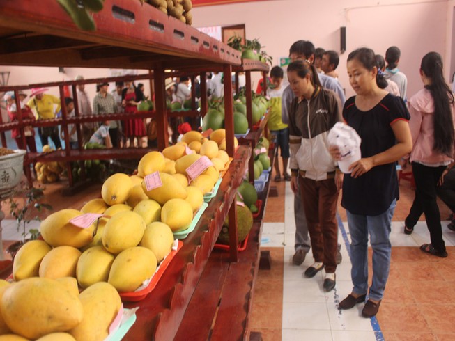 Mất mùa vì hạn mặn, Bến Tre không tổ chức lễ hội cây trái ngon