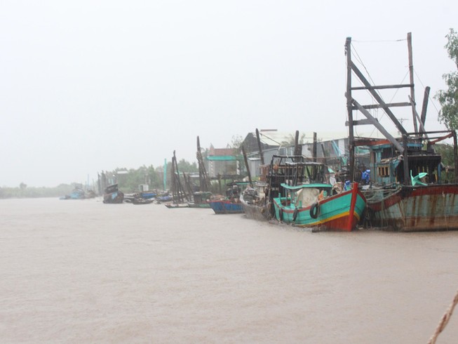 3 chủ tàu cá bị phạt 2,5 tỉ đồng