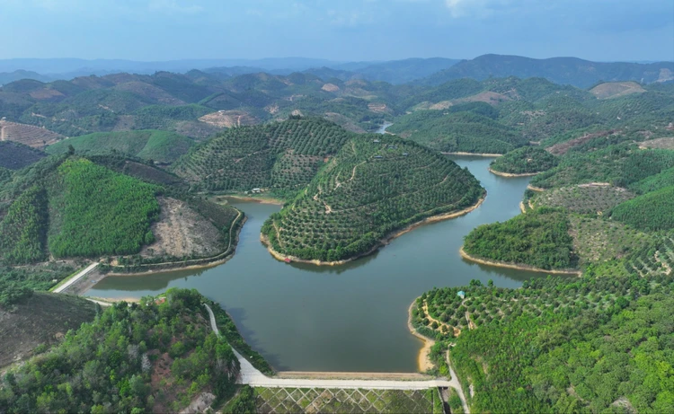 tinh-lam-dong-sn2.jpg