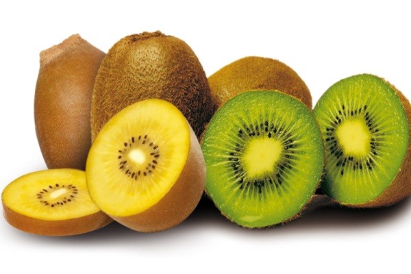 Kiwi Vàng và Kiwi Xanh Loại Nào Đắt Hơn? Khám Phá Giá Trị Dinh Dưỡng và Sự Khác Biệt