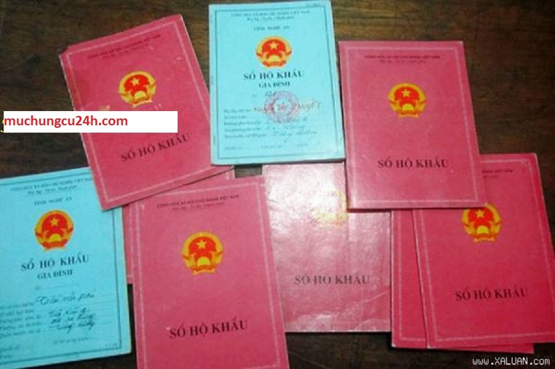 Hộ khẩu - một thời khốn khổ - ảnh 2
