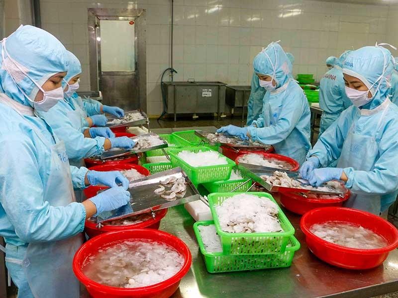 Tiền Trung Quốc giảm giá, thủy sản Việt Nam chao đảo - ảnh 1