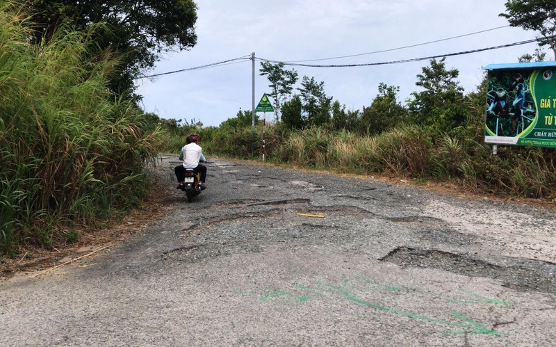Sẽ cấm xe máy lên bán đảo Sơn Trà - ảnh 1