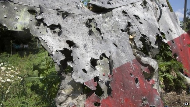 Thảm kịch MH17: Đã tìm thấy mảnh vỡ tên lửa? - ảnh 1