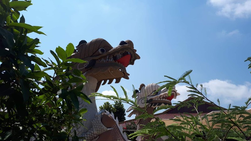 Ngạc nhiên dân Nha Trang kéo đến Vườn Mai để chụp ảnh - ảnh 3