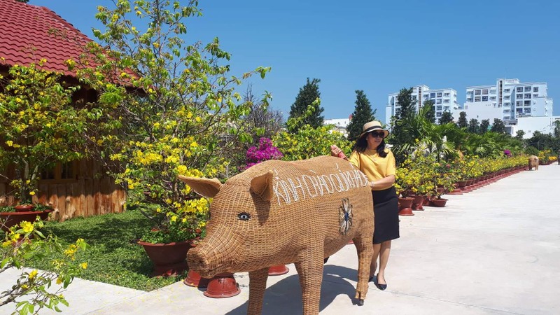 Ngạc nhiên dân Nha Trang kéo đến Vườn Mai để chụp ảnh - ảnh 9