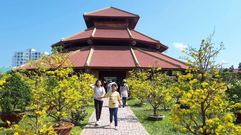 Ngạc nhiên dân Nha Trang kéo đến Vườn Mai để chụp ảnh - ảnh 1