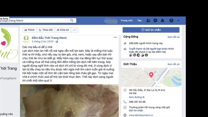 1 Facebooker bị triệu tập vì tung tin sai về dịch lợn - ảnh 1