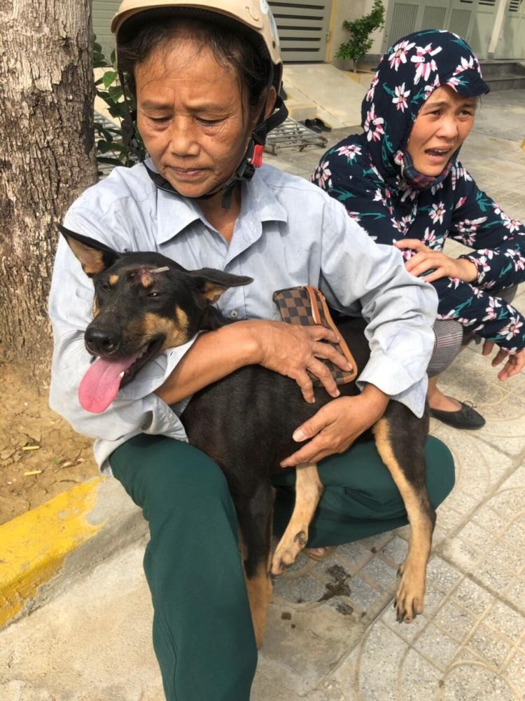 Hỗ trợ nhân đạo đàn chó trong đường dây trộm chó lớn nhất - ảnh 1