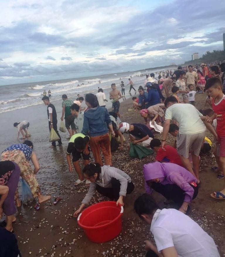 Người dân ào ra bãi biển vớt 'lộc trời' sau bão số 4 - ảnh 2