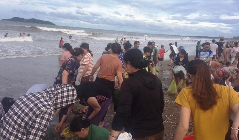 Người dân ào ra bãi biển vớt 'lộc trời' sau bão số 4 - ảnh 1