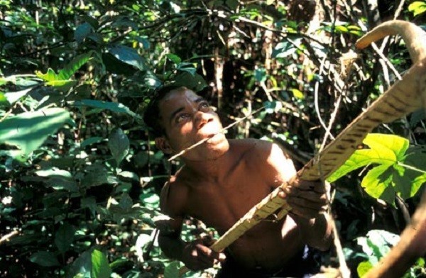 Thăm bộ tộc