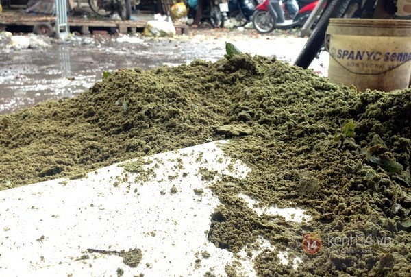 Chà vỏ sấu, kiếm bạc triệu mỗi ngày - ảnh 10